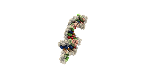 siRNA interferencia Amgen 