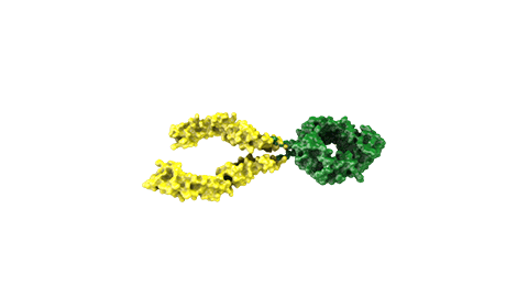 Proteínas de fusión Amgen 