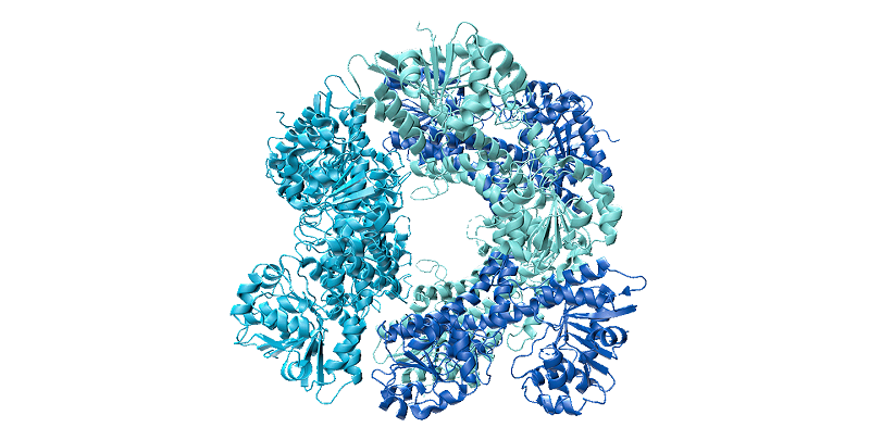 Proteína biológica o molécula de gran tamaño