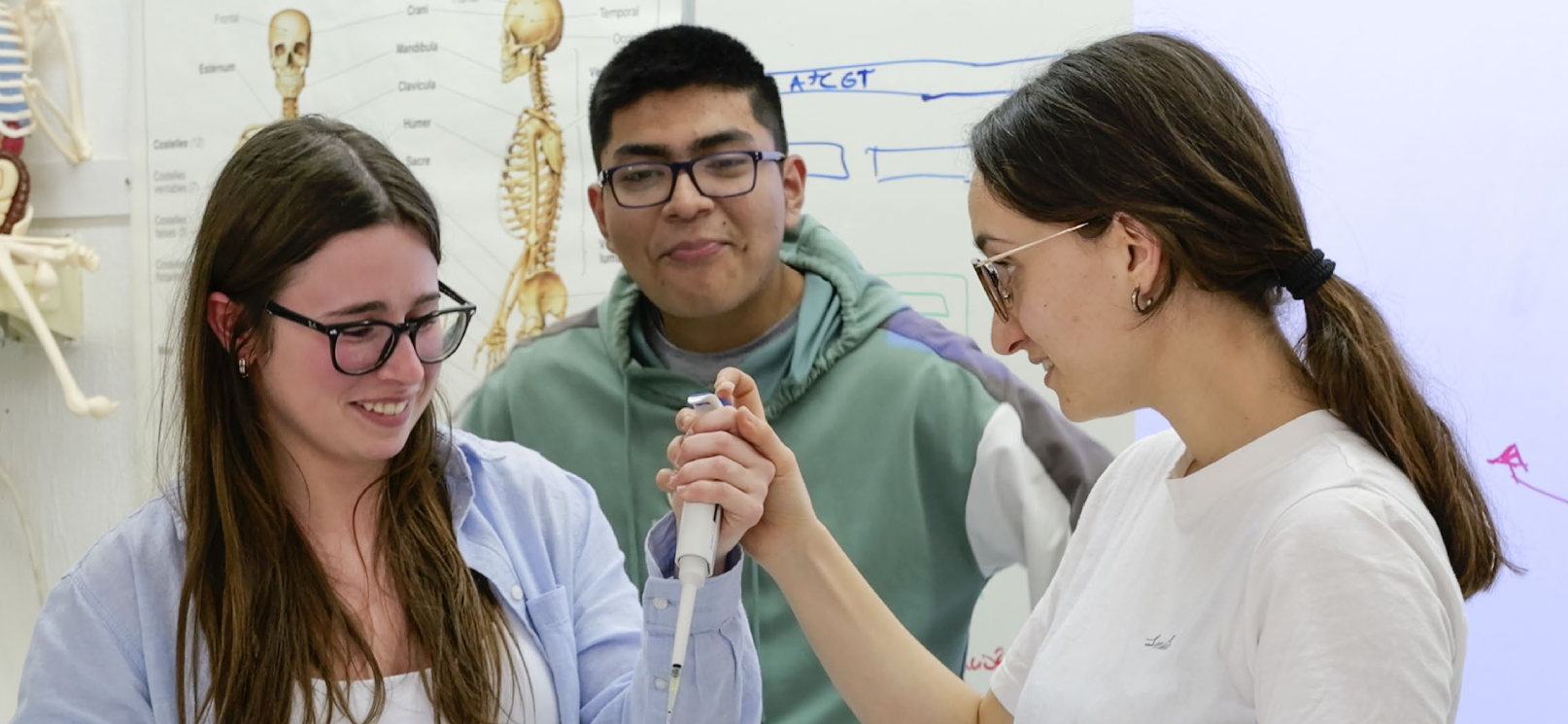 Alumnos durante una sesión de Amgen Transferciencia